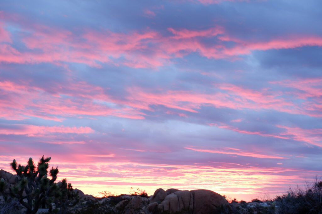 Sunrise on Joshua Tree National Park - California