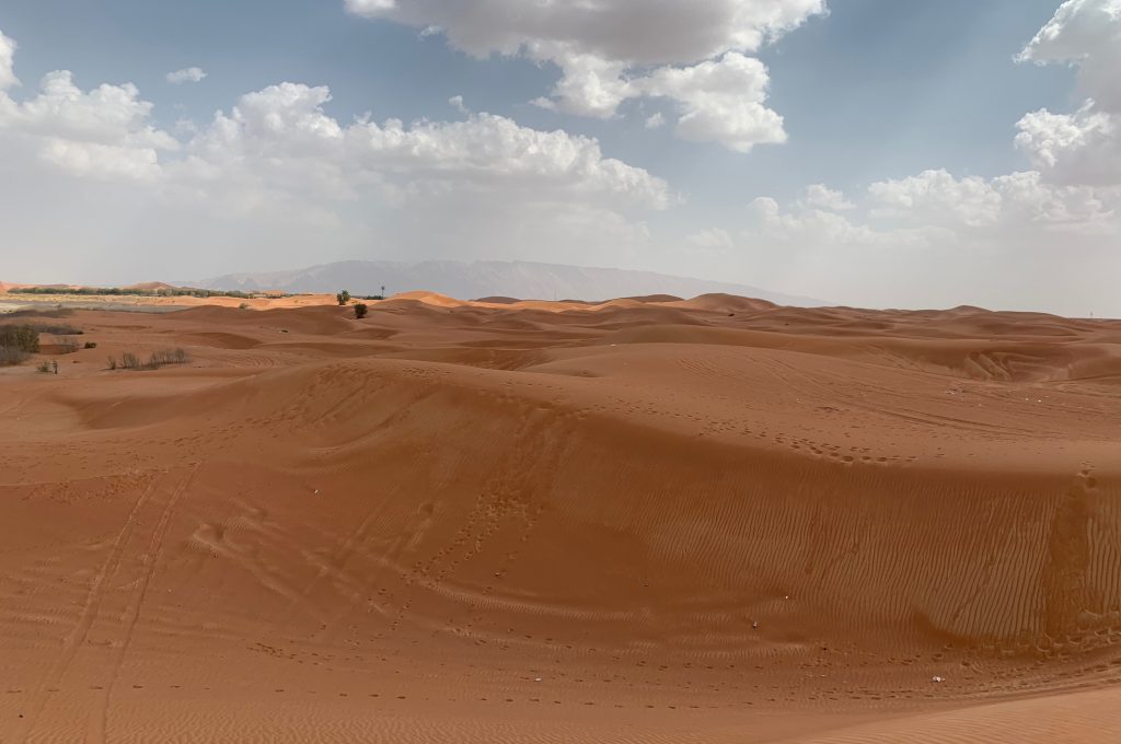 Al Ain Desert - UAE